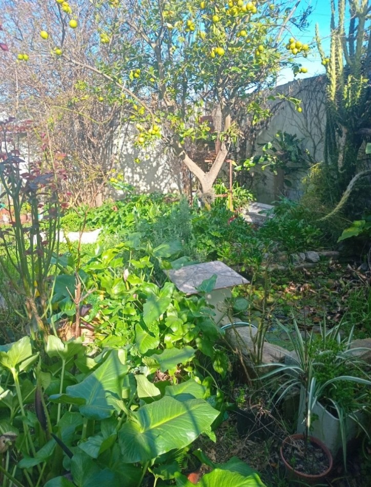 Casa 4 ambientes Barrio Hipodromo 